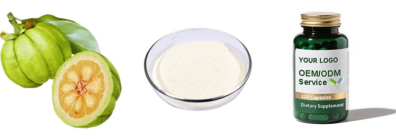 Garcinia Cambogia Extract