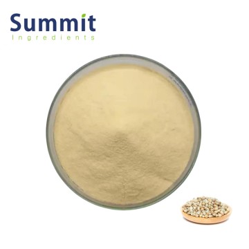 Hemp Seed Protein Powder Best Ingredients for Muscle Recovery & Lean Mass