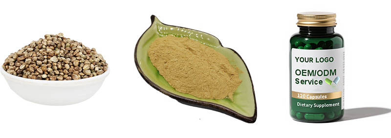 Hemp Protein Powder