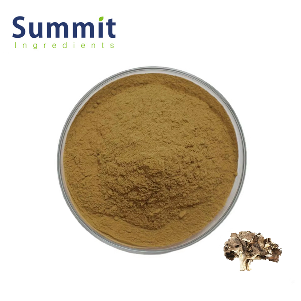 Maitake Mushroom Extract 1.jpg