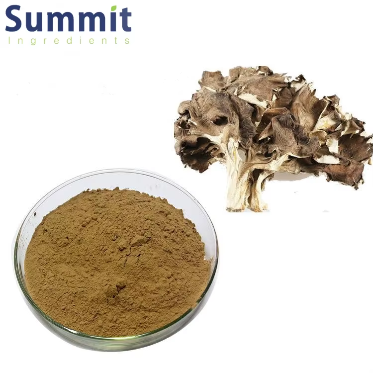 Maitake Mushroom Extract 3.png