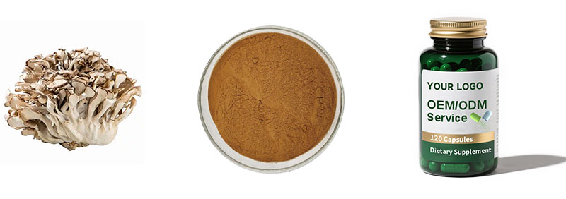 Maitake Mushroom Extract
