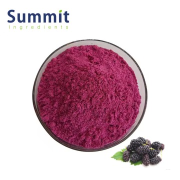 Natural Mulberry Powder Rich in Antioxidants for Immune Support