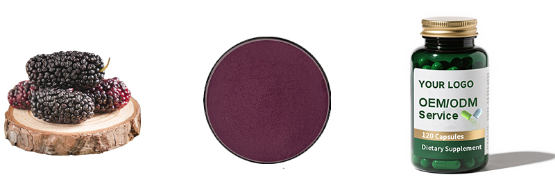 Mulberry Powder