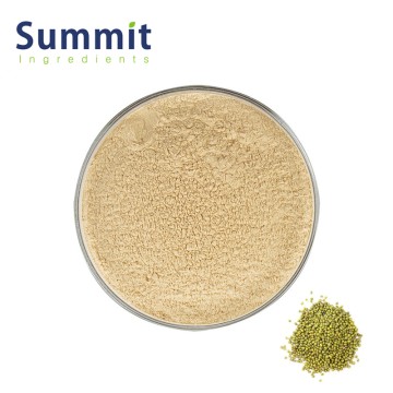 High Quality Mung Bean Protein Powder