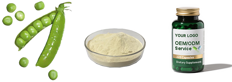 Pea Protein Powder
