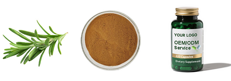 Rosemary Extract