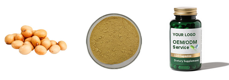Soybean Extract