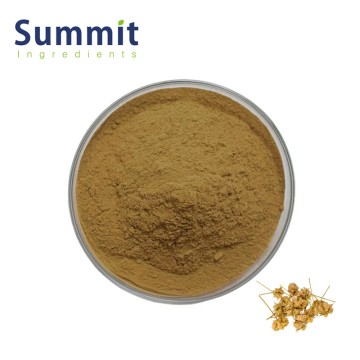 Premium Tribulus Terrestris Extract Natural Support for Energy