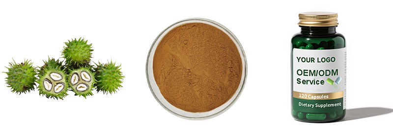 Tribulus Terrestris Extract