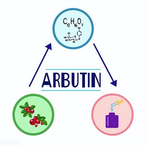 Why Is α-Arbutin the Top Choice for Gentle Whitening?
