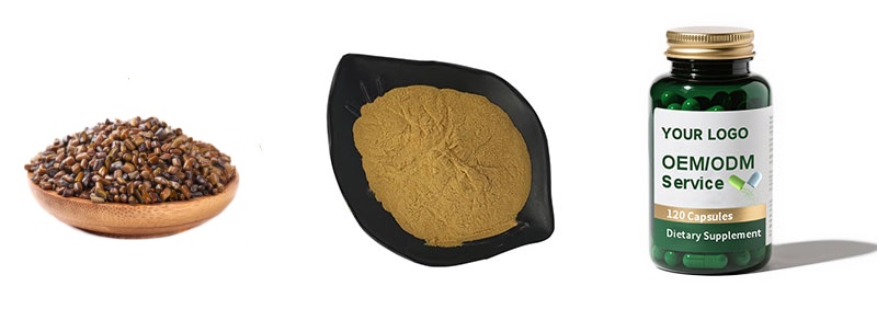 Semen Cassiae Seed Extract