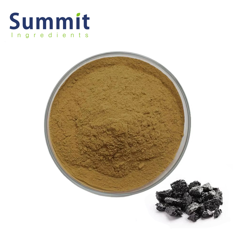 Why is Shilajit Extract Gaining Popularity? Unveiling Its Core Components and Diverse Health Benefits