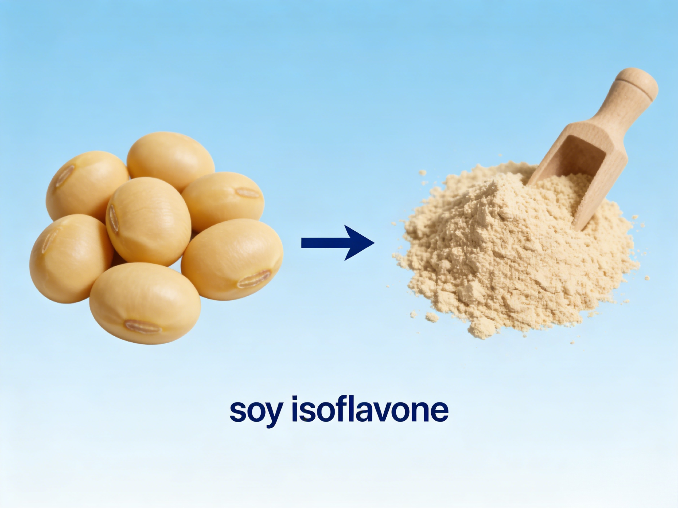 Why Has Soy Isoflavone Become a Frequent Research Highlight?