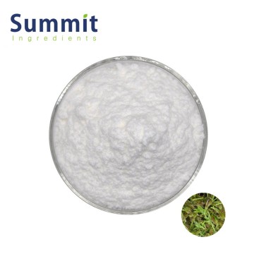High Quality Vine Tea Extract 98% DHM Dihydromyricetin for Health Supplement