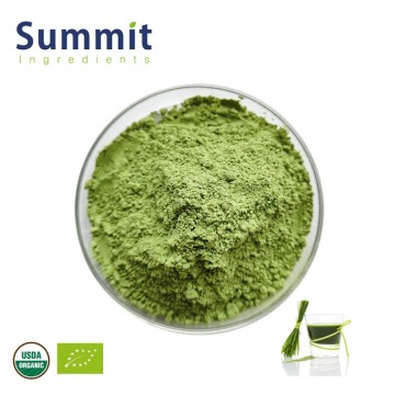 Natural Organic Barley Grass Juice Powder for Health Food