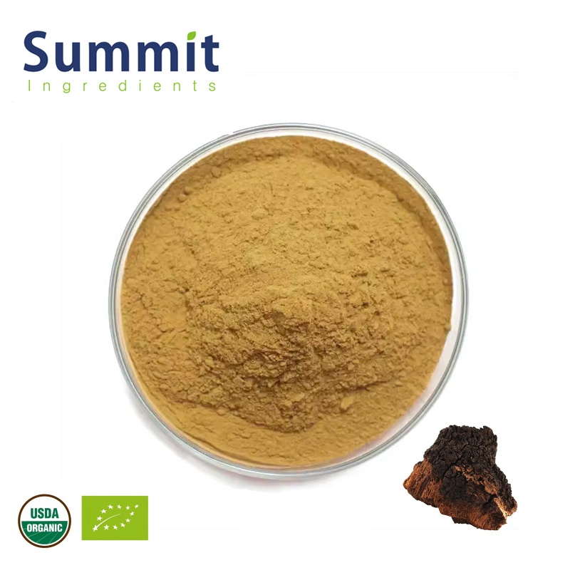 Chaga Mushroom Extract 1_副本.jpg