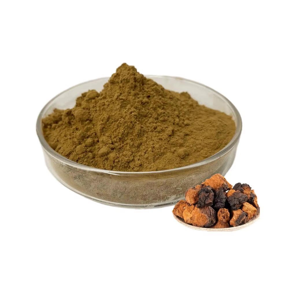 Chaga Mushroom Extract 2.png