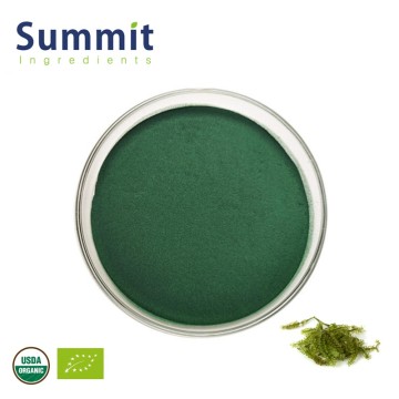 Factory High Quality Organic Chlorella Powder Organic Chlorella Extract