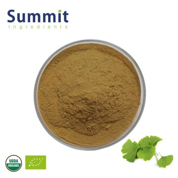 High Quality Organic Ginkgo Biloba Extract Powder 