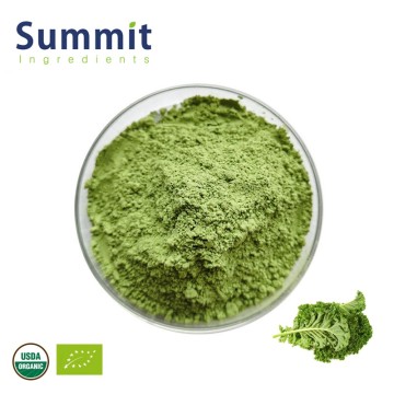Pure Natural Organic Kale Powder For Health Food