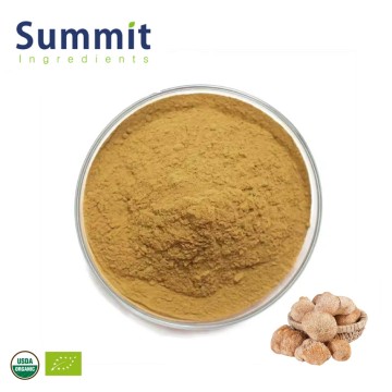 High Quality Organic Lion's Mane Mushroom Extract Powder