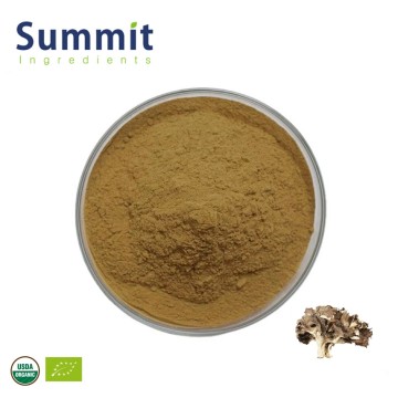 High Quality Organic Maitake Mushroom Extract Powder for Immune Defense