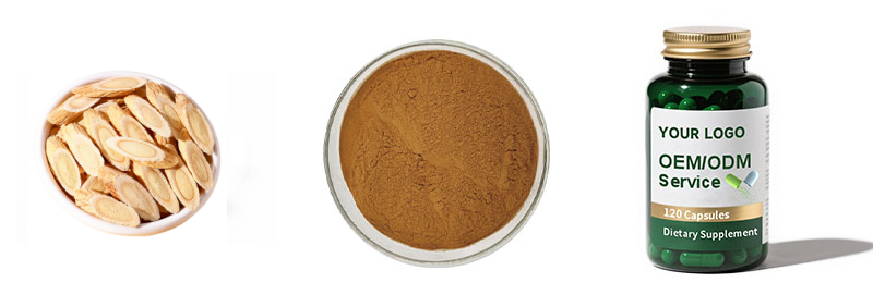 Organic Astragalus Root extract