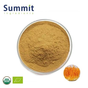High Quality Organic Cordyceps Militaris Extract for Functional Food