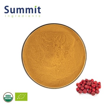 High Quality Organic Hawthorn Extract For Health Food