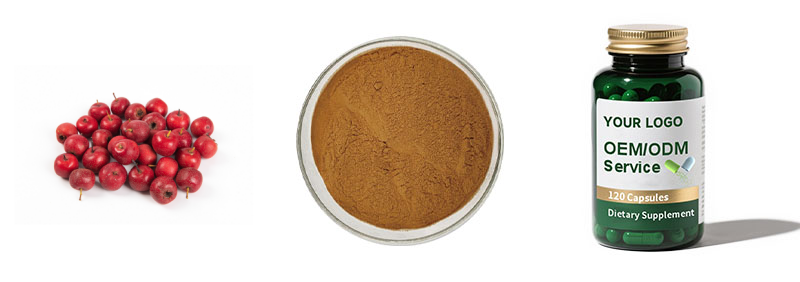Organic Hawthorn extract