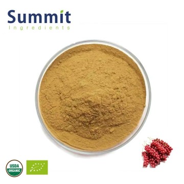 Factory Wholesales Organic Schizandra Berry Extract Schisandra Chinensis Extract