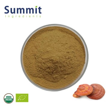 Organic Reishi Mushroom Extract for Immunity & Stress Relief