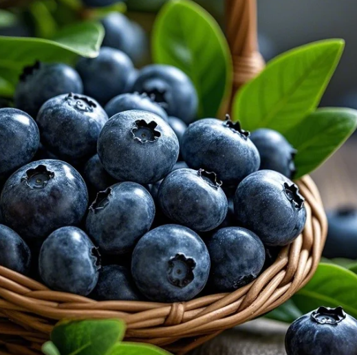 Why Has Blueberry Powder Become a New Health Favorite? Uncover Its Truth and Uses in One Article