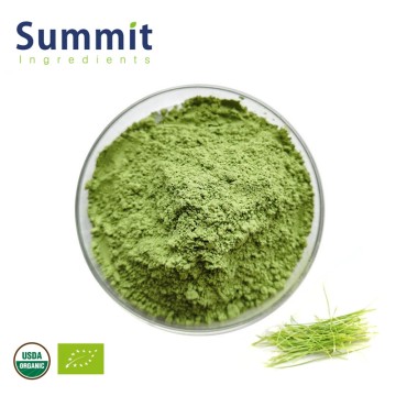 Pure Natural Organic Wheat Grass Powder for Food and Beverage