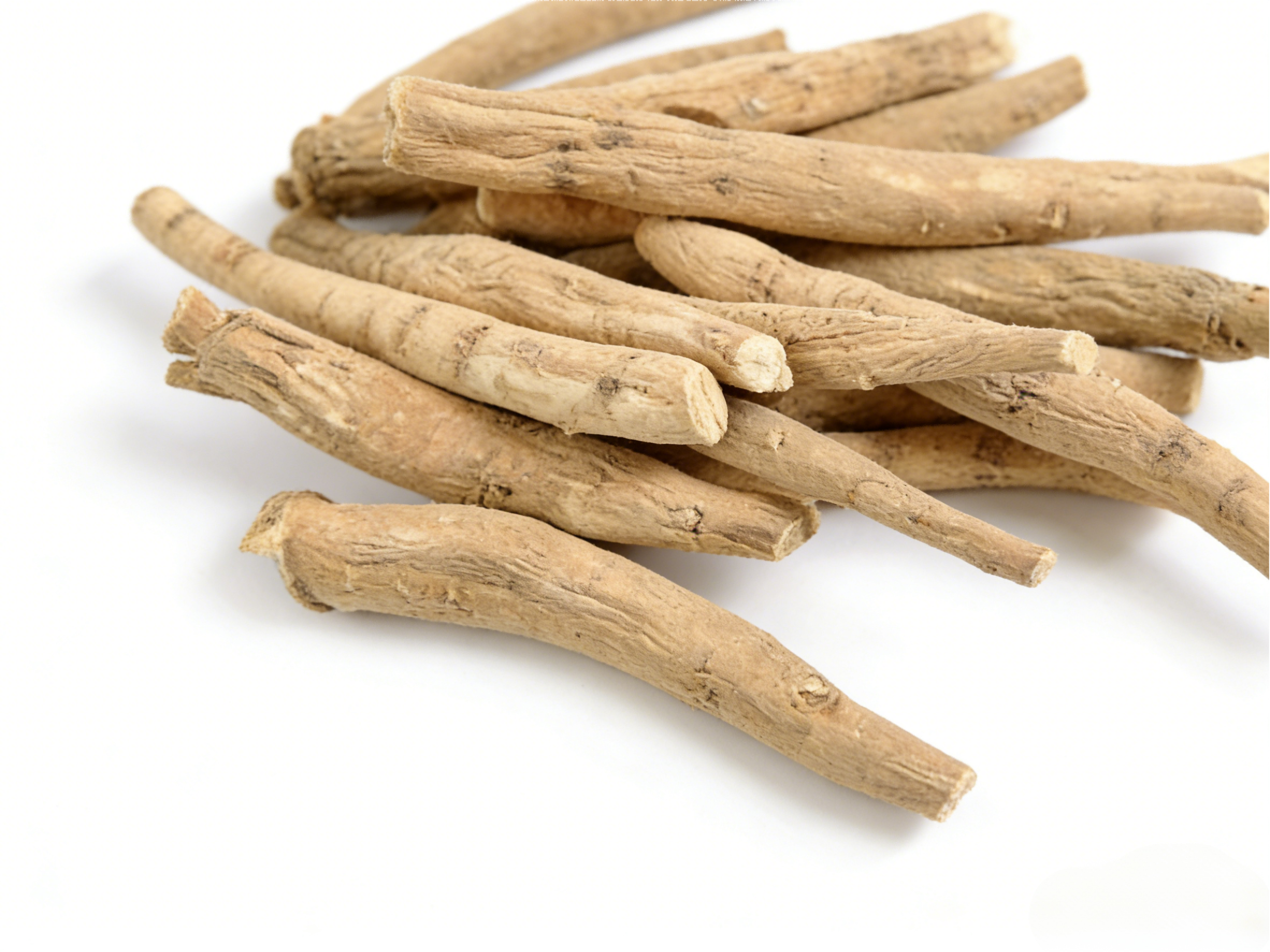 南非醉茄提取物 (1).png