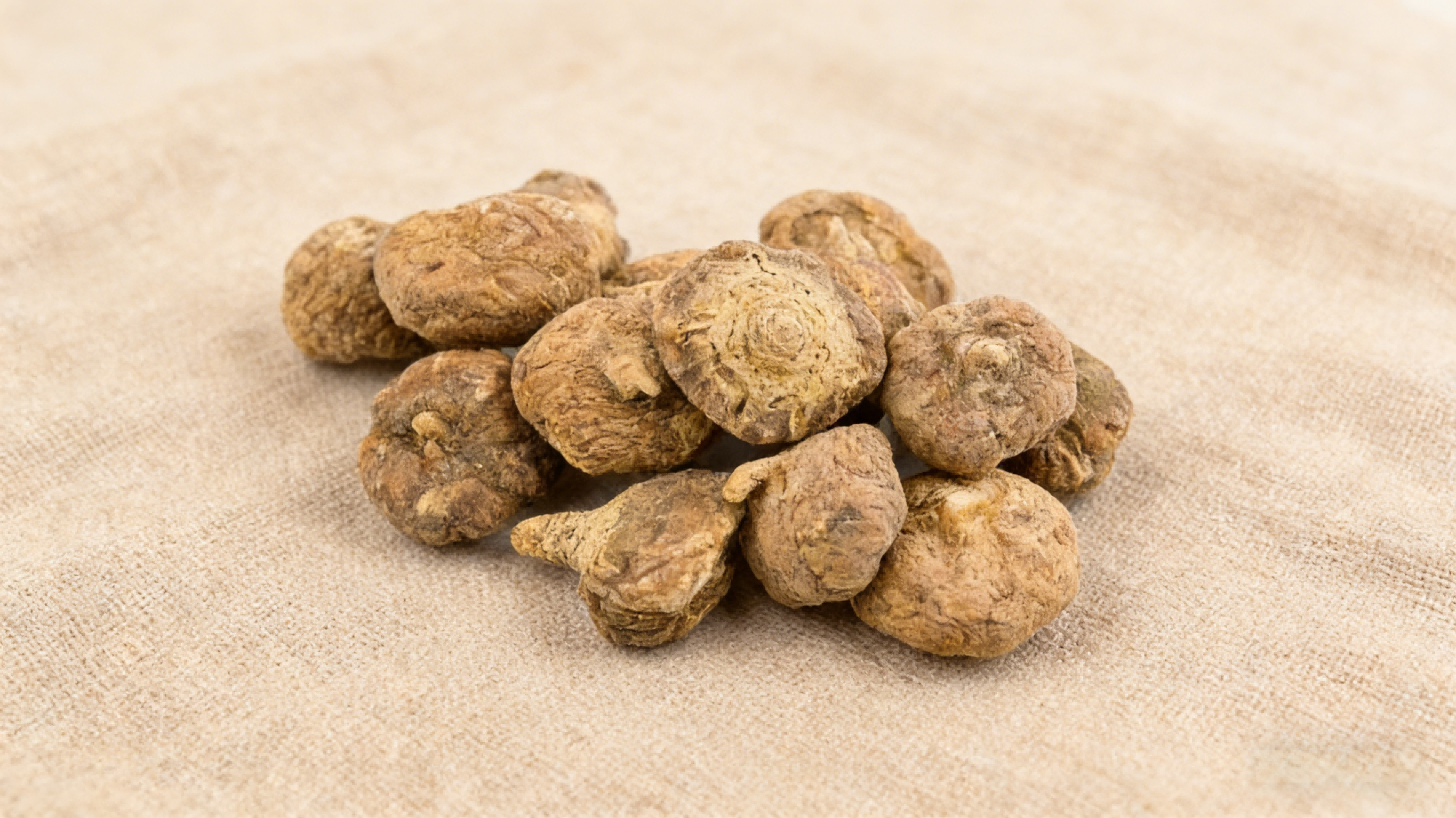 What is Maca Extract? Unlocking the Mystery of This "Plateau Treasure"