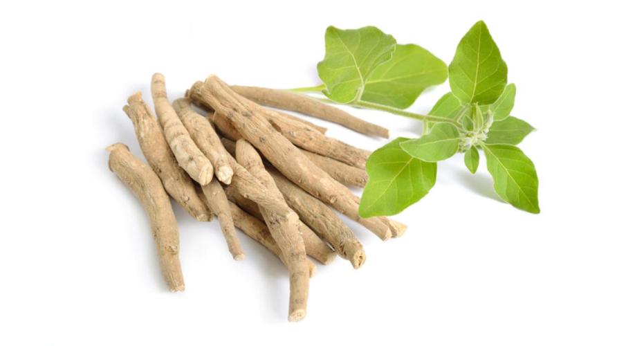 Ashwagandha: The Modern Anti-Stress Revolution of an Ancient Herb – Mental Sedative or Physical Regulator?