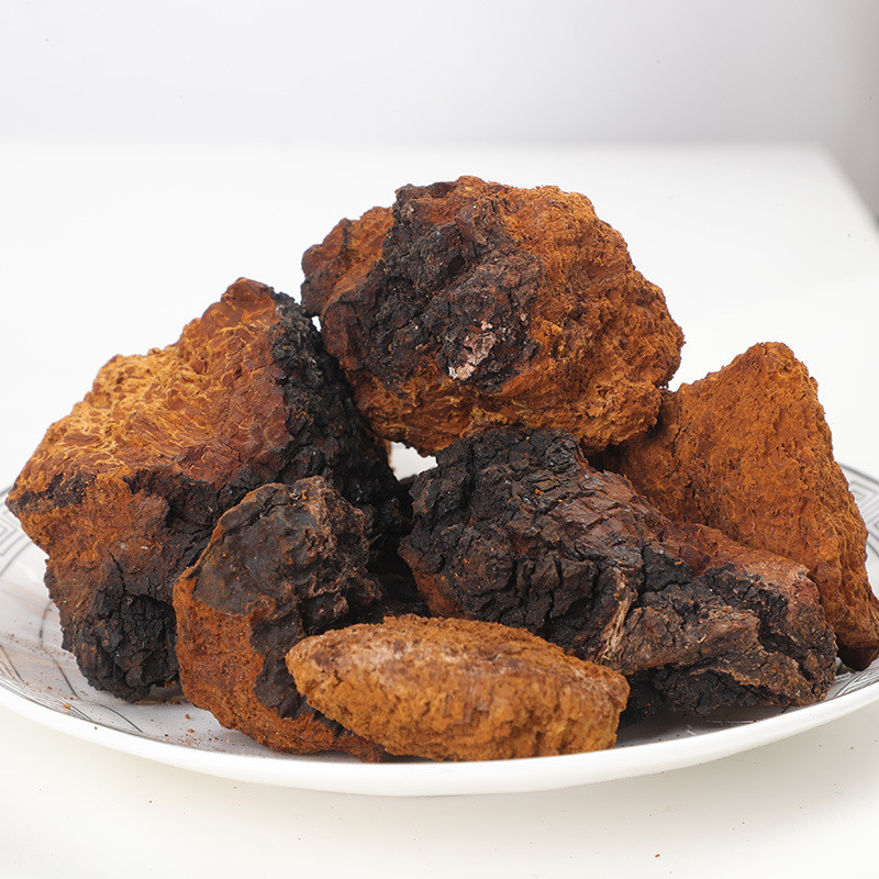 Champignon Chaga 1.jpg