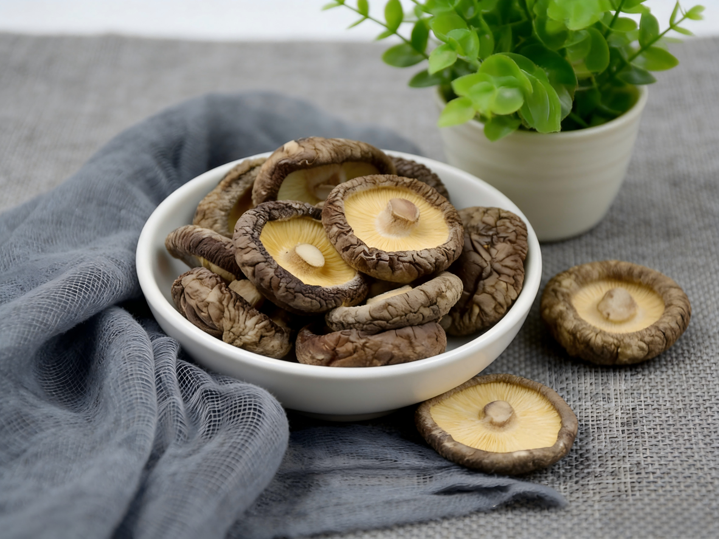 Shiitake Mushroom Extract: A Dual-Purpose Natural Ingredient for Food and Medicine — What Exactly Is Its Core Value?