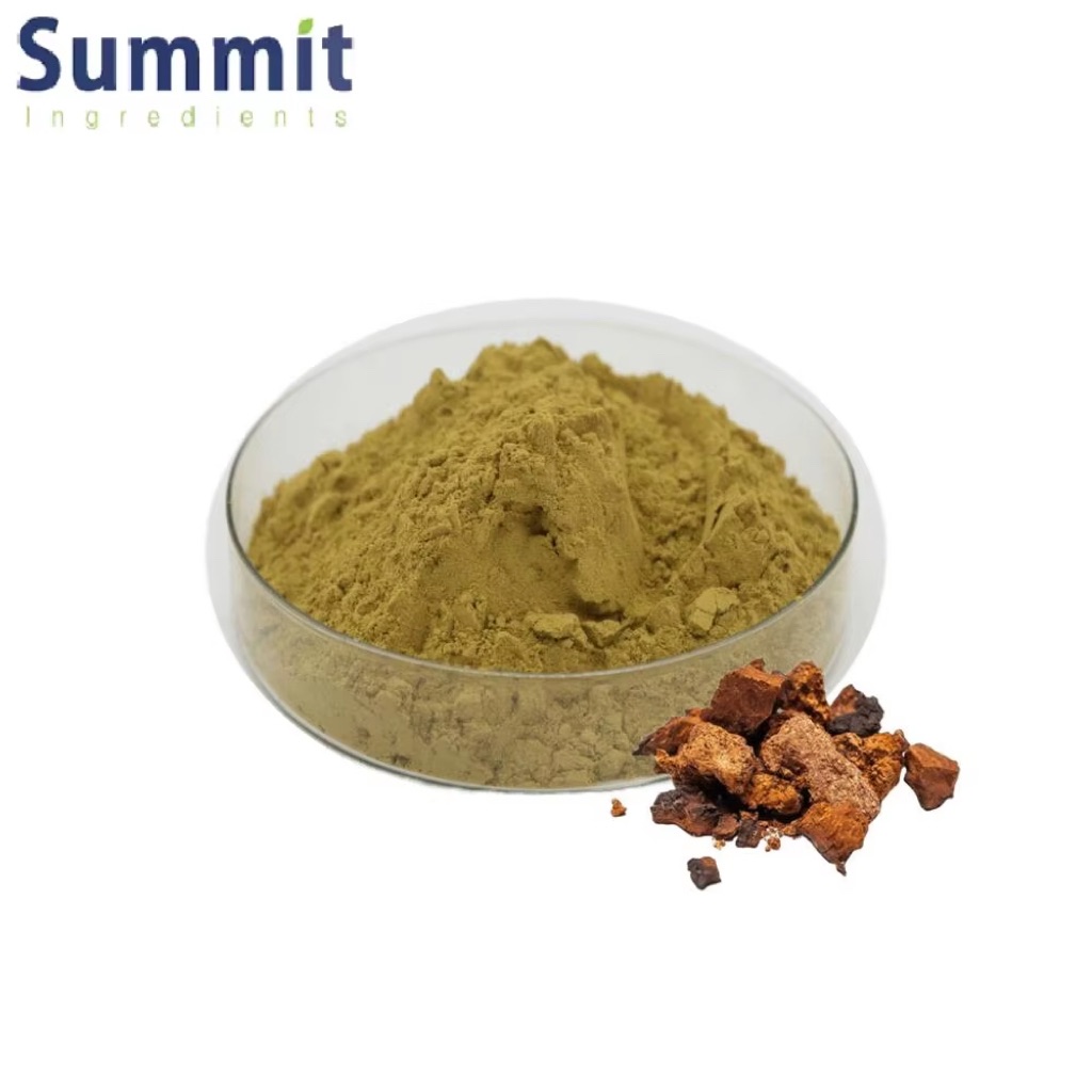 Extrait de champignon Chaga 1.jpg