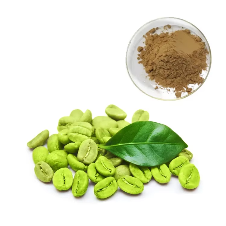 Green Coffee Bean Extract 3.png