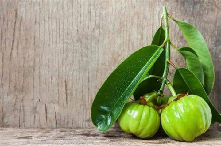 What Unknown Secrets Are Hidden in the Popular Garcinia Cambogia Extract?