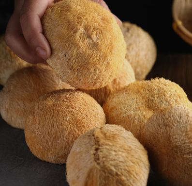 Can Lion's Mane Mushroom Extract Really Nourish the Stomach and Benefit the Brain?