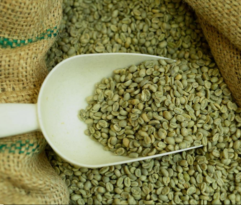 Green Coffee Bean Extract: A Rising Star in Natural Health, What Makes It So Remarkable?