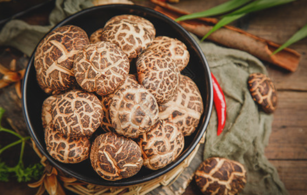 Common Shiitake Mushrooms: Has Their Extract Emerged as a New Health Trend? Its Practical Value Is Undeniable!