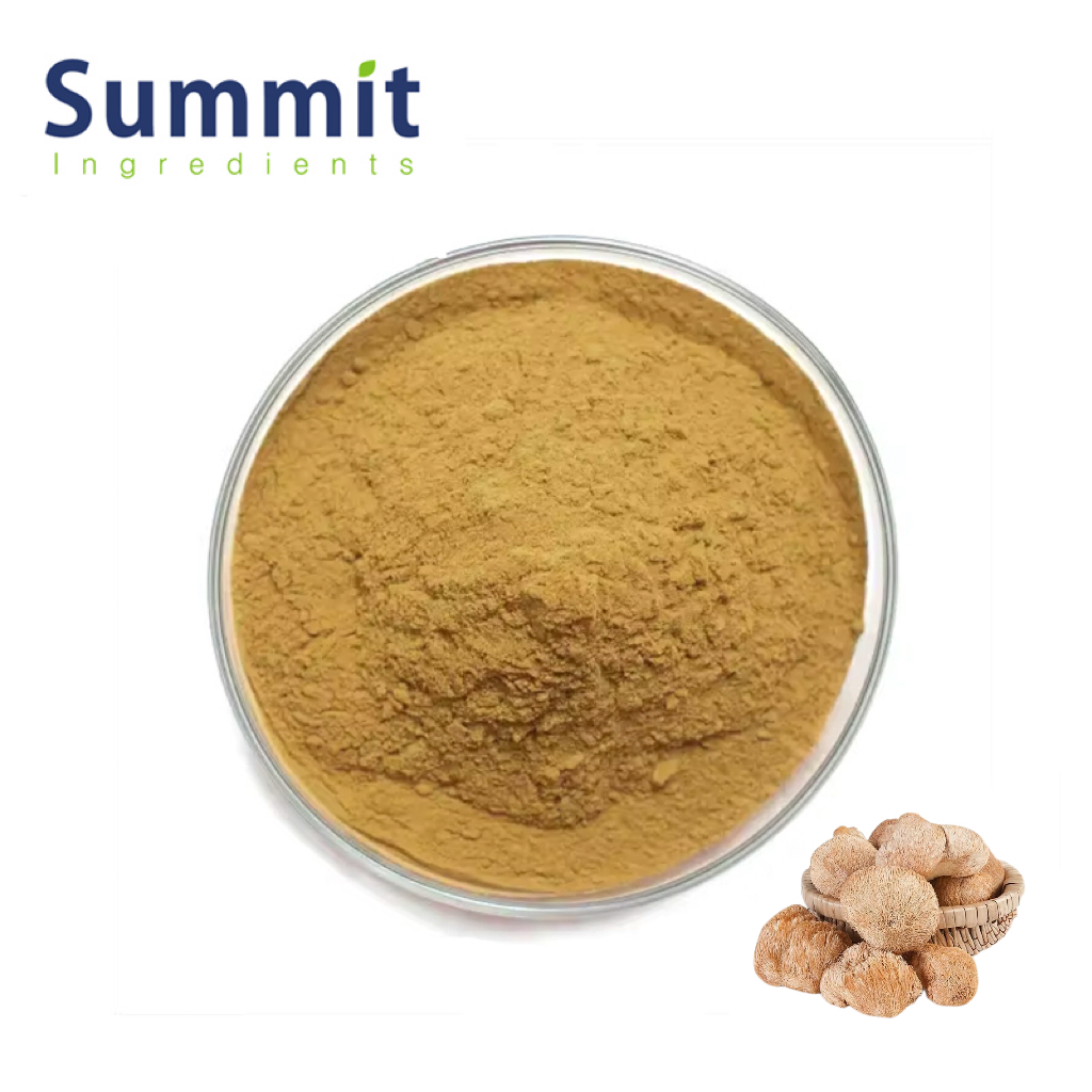 Lion's Mane Extract 1.jpg