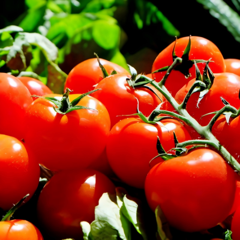 Tomato Extract 2.png