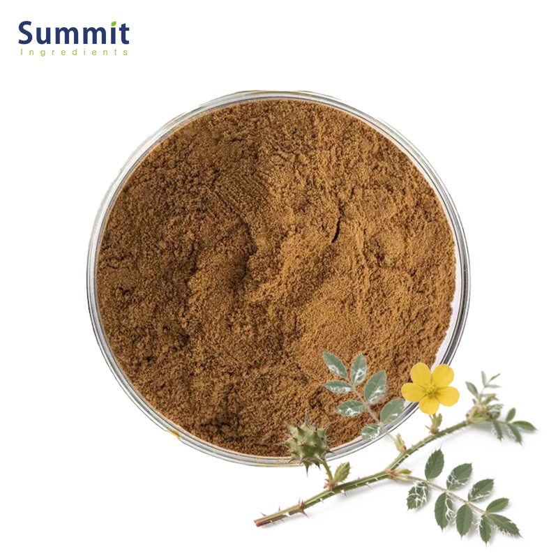 Tribulus Terrestris Extract 1.jpg