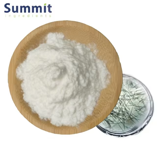 Hydrolyzed Sponge 1.png